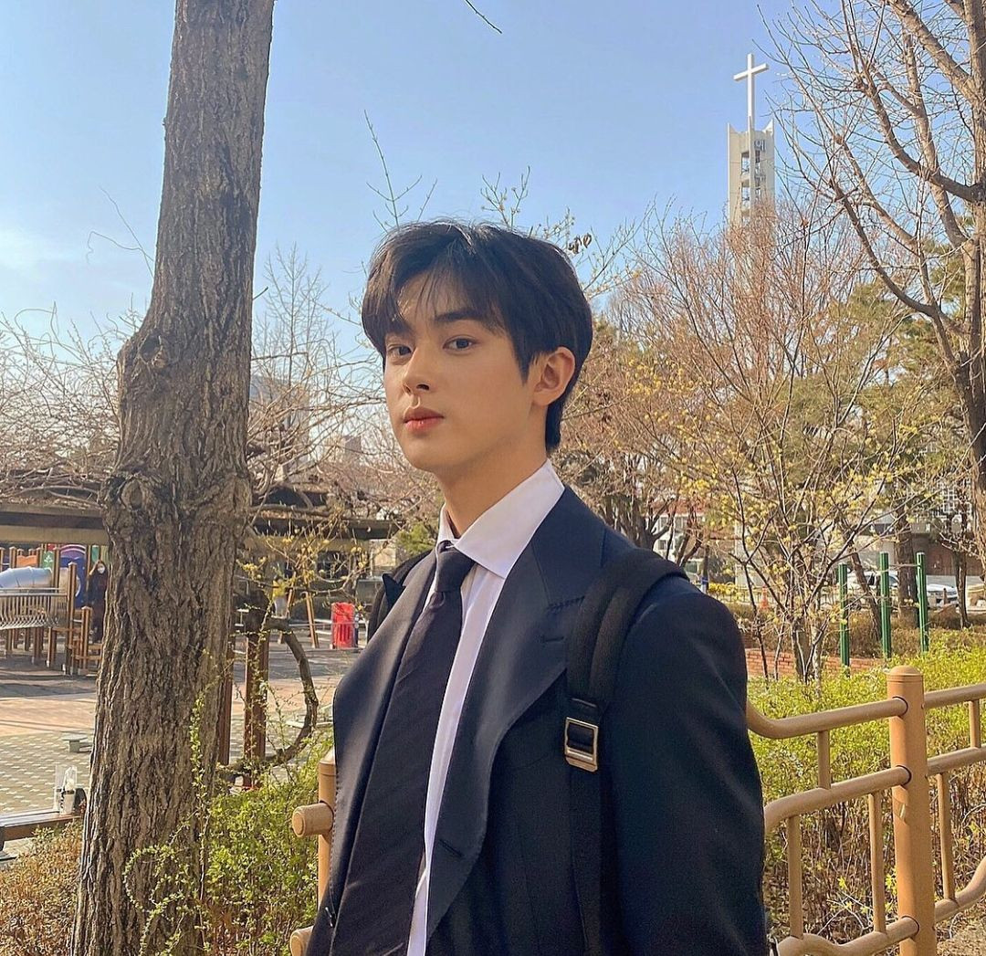 5 Fakta Kim Min Kyu Yang Disebut Mirip Jin BTS