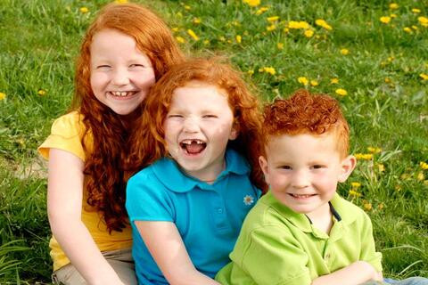 7 Fakta dan Karakter Unik dari Anak Pertama