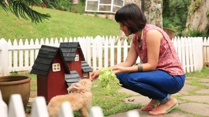 5 Jenis Kelinci Lop Paling Populer