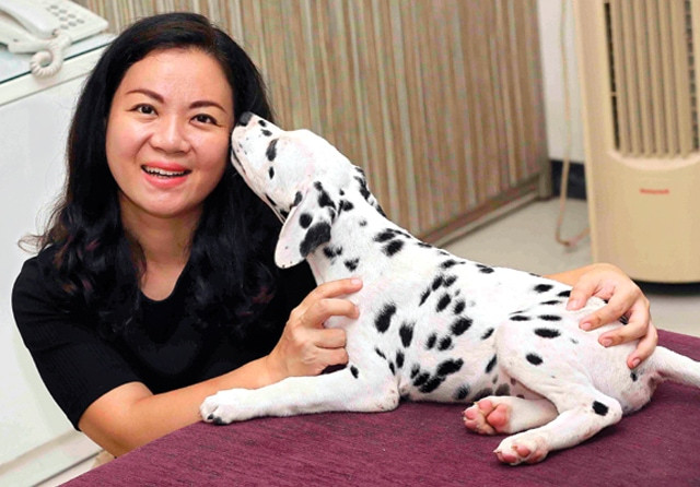 Keunikan Anjing Dalmatian, Inilah Ciri-ciri nya yang Menggemaskan