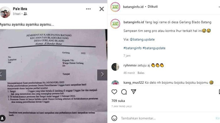 Unik, Dusun Gerlang di Batang Punya Aturan Ayamku Ayammu