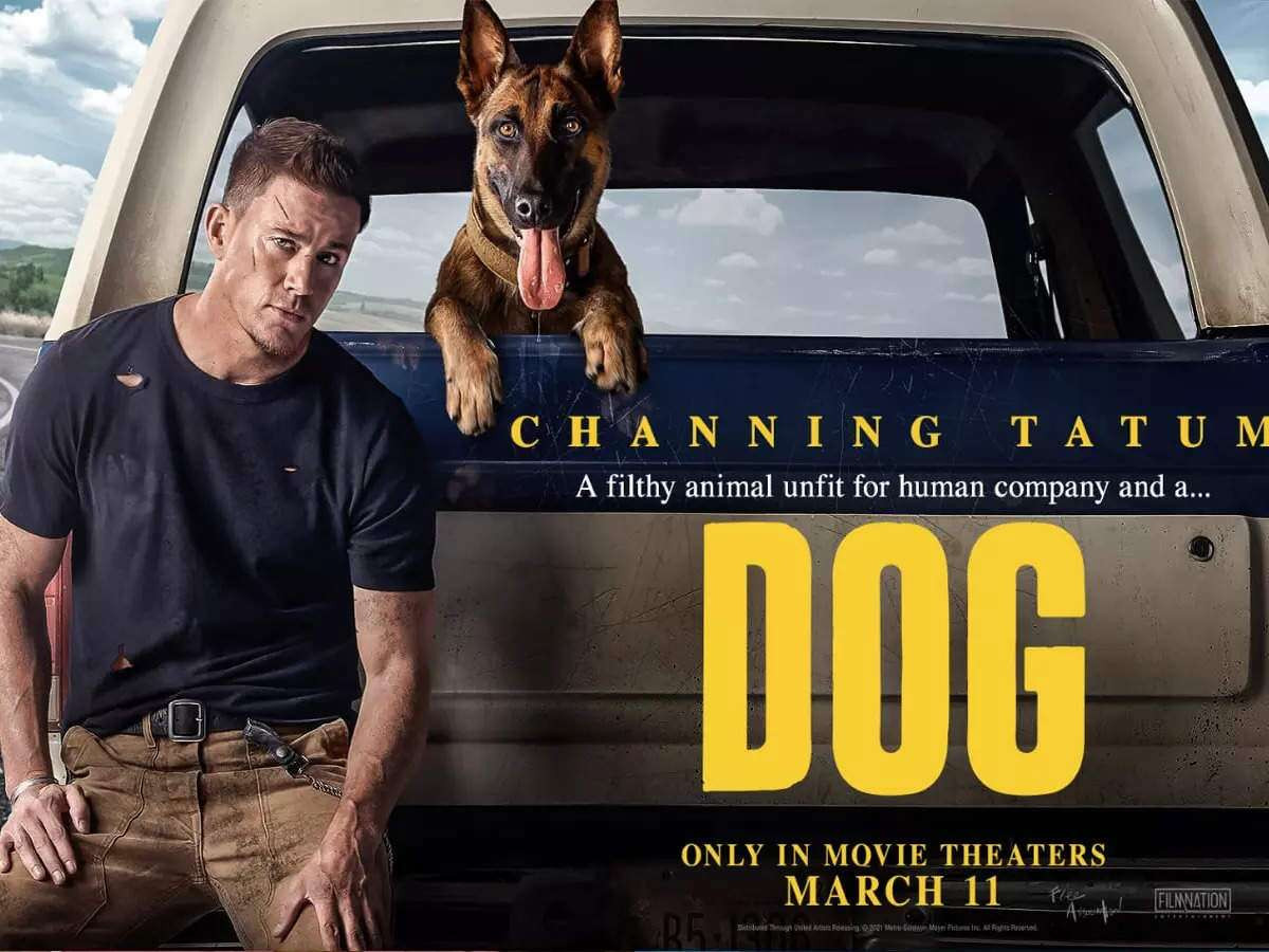 Fakta Menarik Film "Dog", Debut Channing Tatum Jadi Sutradara
