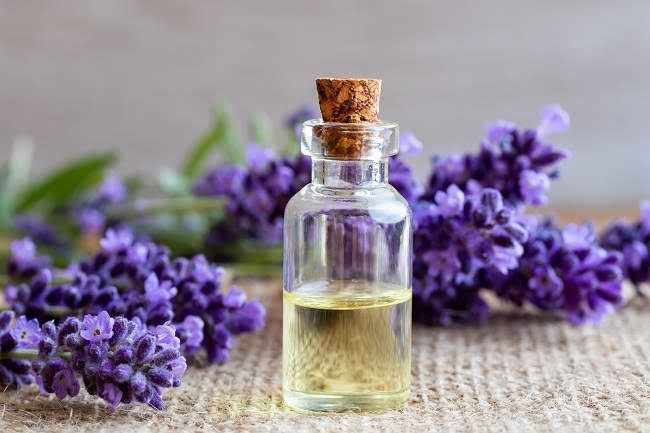 Miliki Banyak Khasiat, Ini Manfaat Pakai Lavender Oil