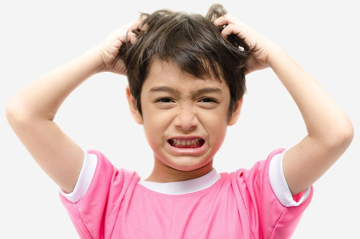 Jangan Panik, 5 Cara Atasi Kutu Rambut Pada Anak