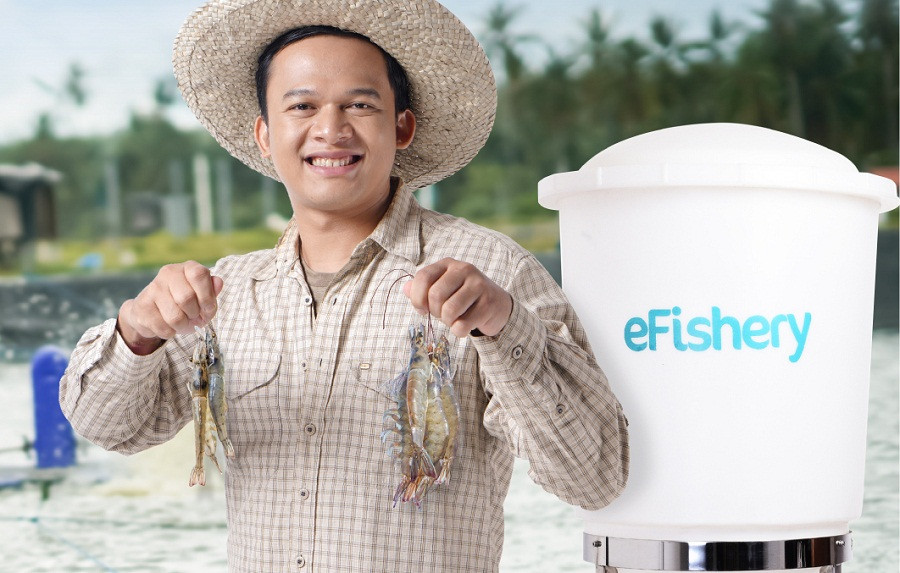 Gandeng Aqua Pharma dan KYTOS, eFishery Kembangkan Platform SEATRU untuk Petambak Udang