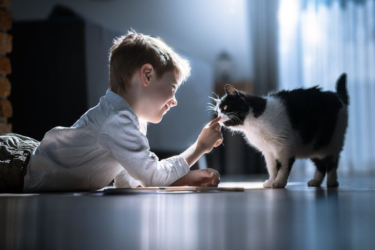 5 Manfaat Miliki Hewan Peliharaan untuk Psikis Anak