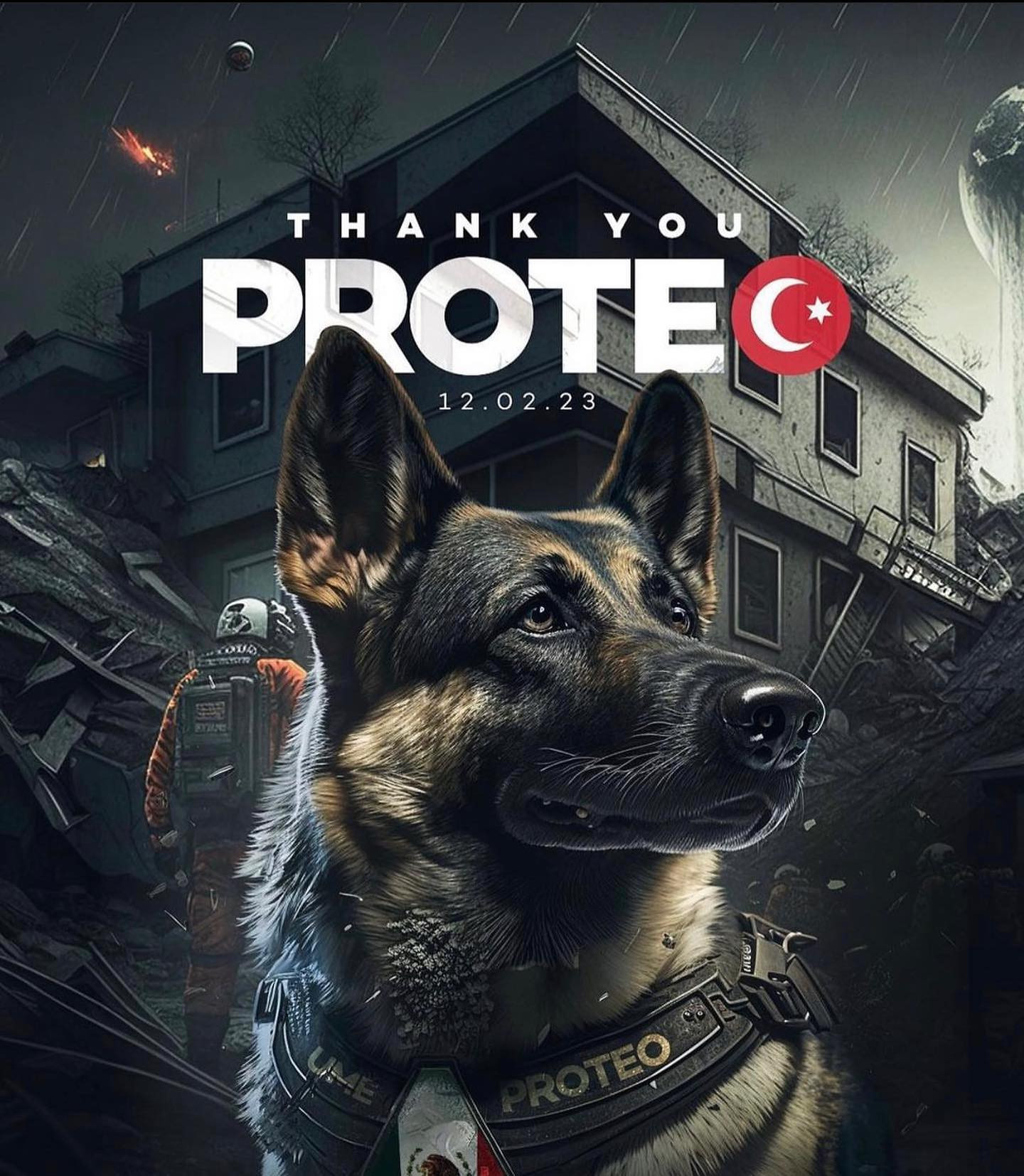 Proteo, Anjing Heroik Asal Meksiko Gugur Terhormat Saat Evakuasi Korban Gempa Turki
