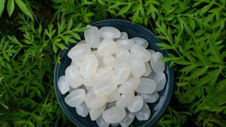 Kerap Jadi Menu Takjil, Ini 5 Cara Mengolah Kolang-Kaling Agar Empuk