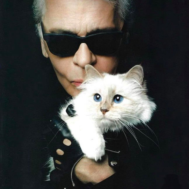 Fakta Menarik Choupette, Kucing Karl Lagerfeld Yang Diperlakukan Istimewa