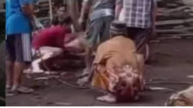 Viral! Detik-Detik Pria Paruh Baya Meninggal Dunia Saat Menyaksikan Hewan Kurbannya Disembelih