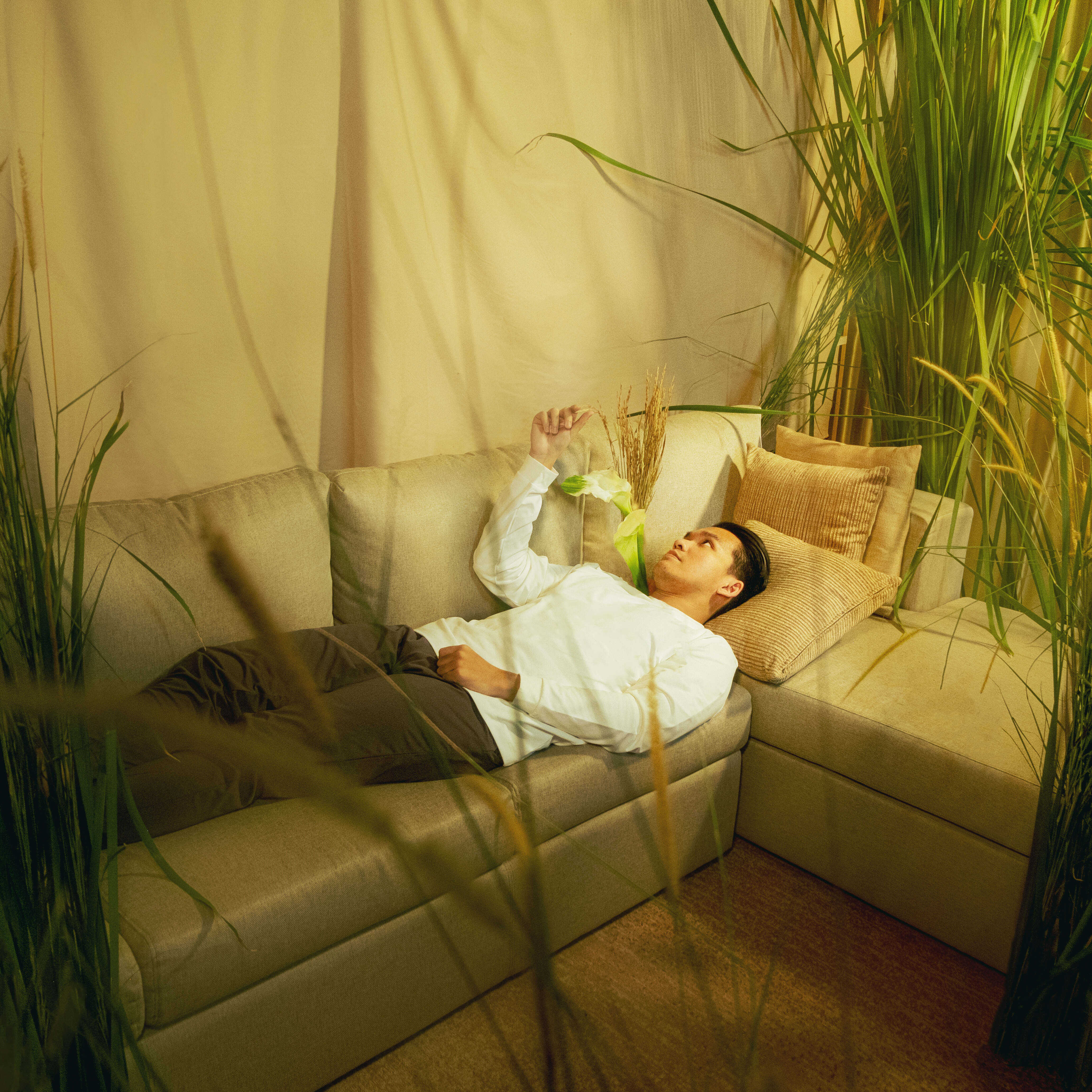 Banikata Merawat Mimpi dan Harapan yang Terus Bertumbuh Melalui “Sawah Impian”