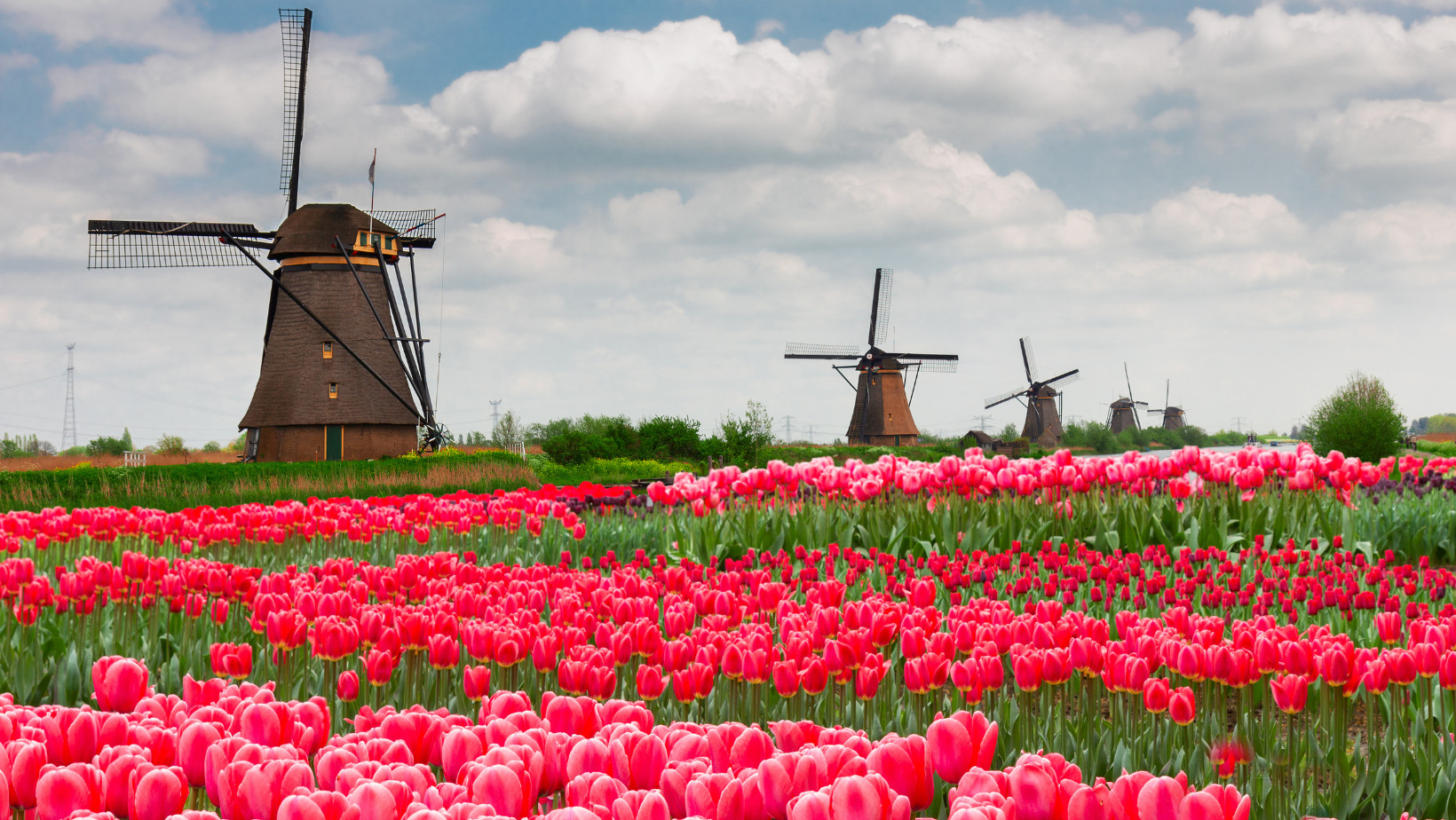 Mengenal Negara Yang Dijuluki "Windmill Country" di Eropa