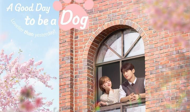 5 Alasan Drama Korea “A Good Day To Be A Dog” Wajib Kamu Tonton Ladies!