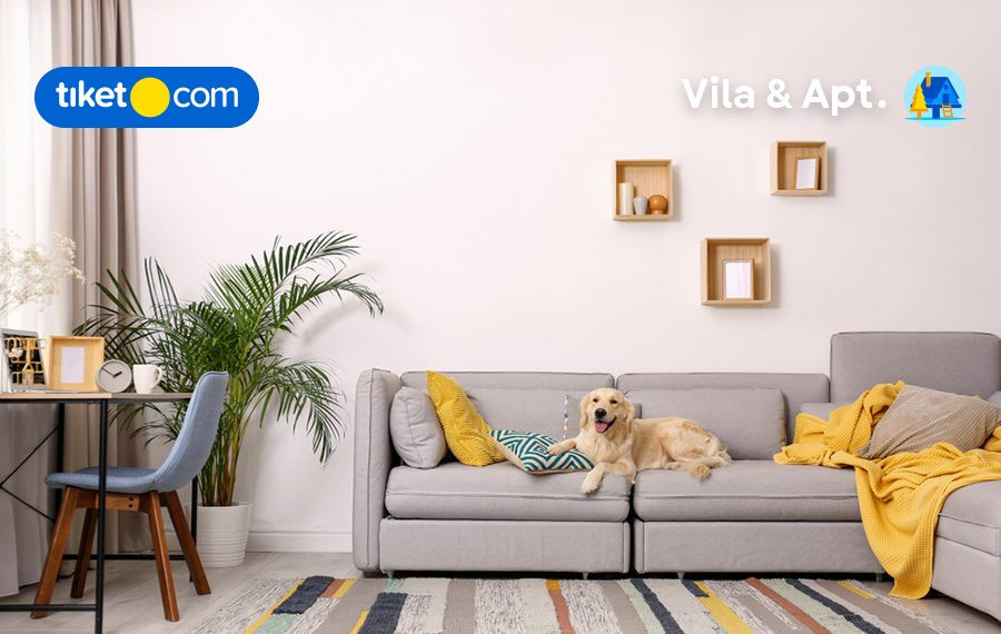 Liburan Next Level Bareng Hewan Kesayangan? Simak 5 Hotel dan Villa Pet Friendly yang Wajib Dikunjungi