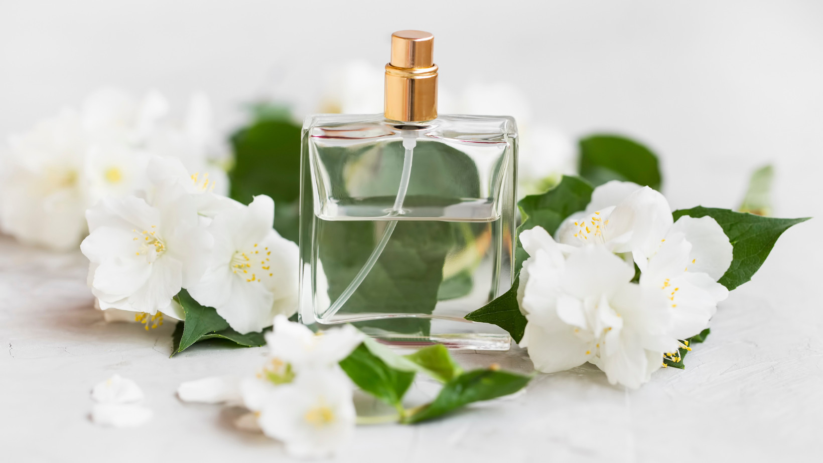 Rekomendasi Parfume Wanita Dengan Aroma Green Tea Yang Menyegarkan Dan Tahan Lama