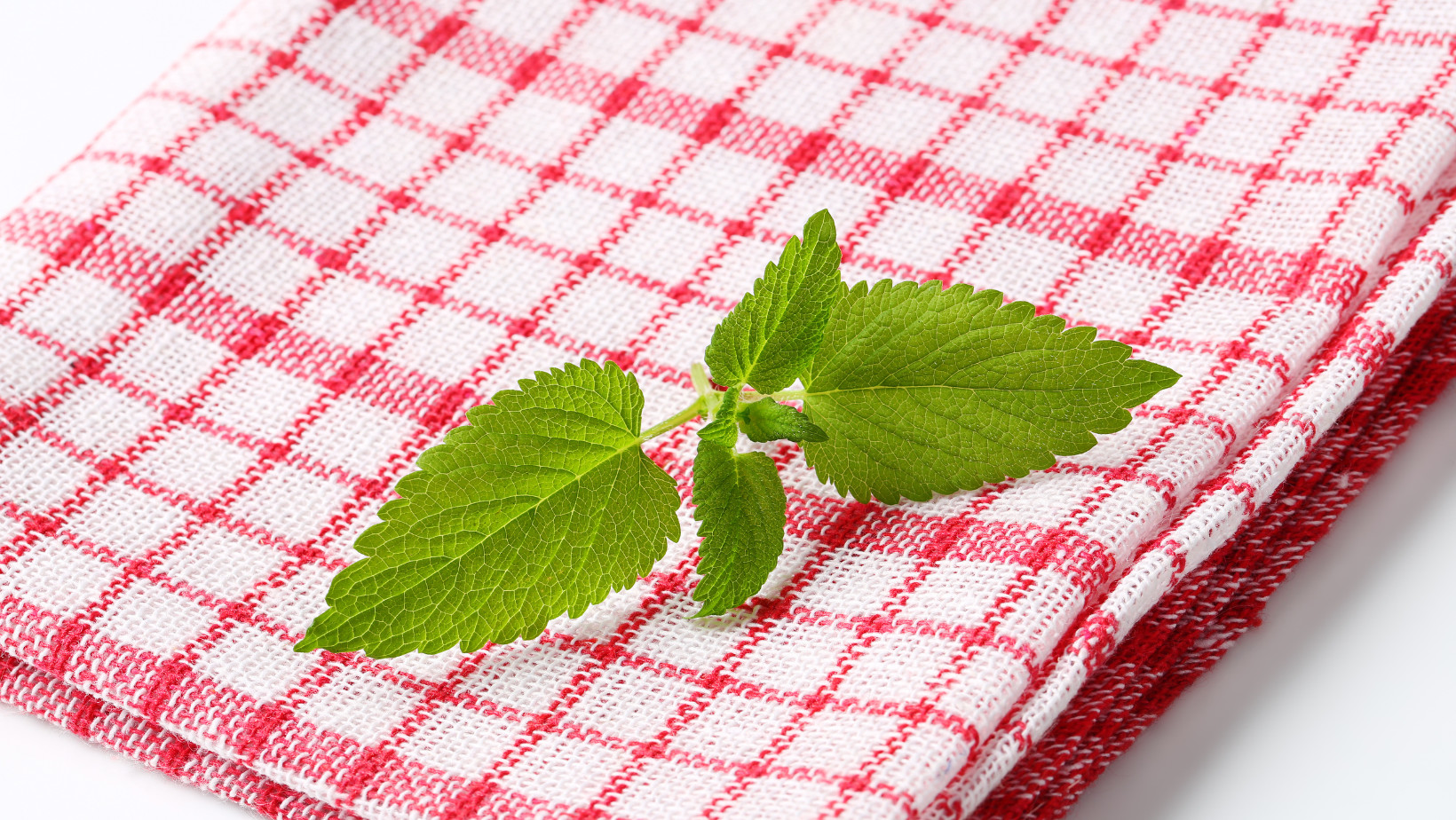 5 Kandungan Daun Mint yang Baik untuk Kesehatan