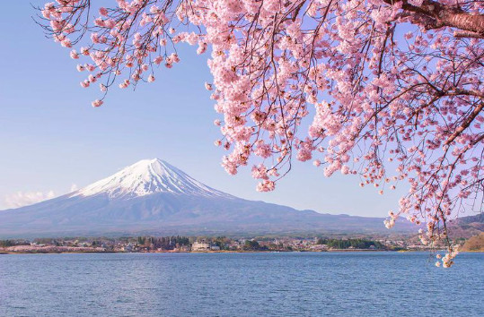 Suka Dengan Keindahan Alam? Ini Tempat Wajib Kamu Kunjungi Di Jepang