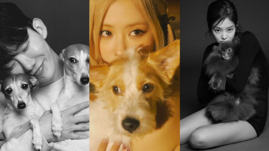 Bestie Abis! 7 Selebriti Korea Selatan dengan Anjing Kesayangannya