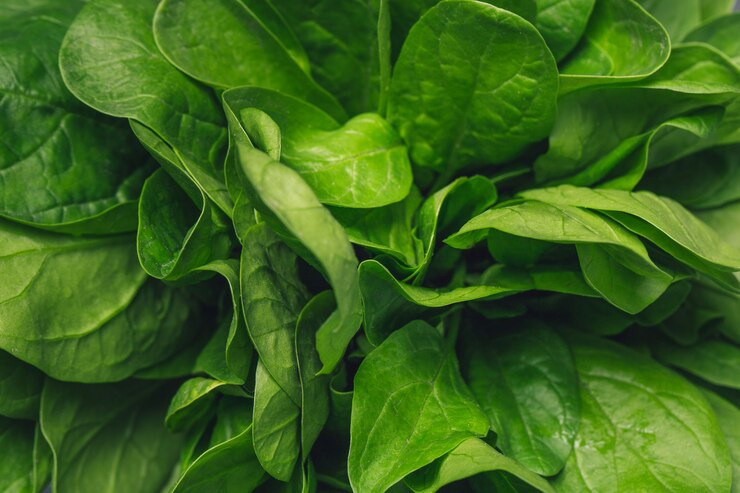 Bisa Turunkan Berat Badan, Yuk Ketahui Manfaat Konsumsi Bayam