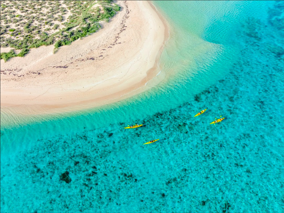 Selami Surga Laut Ningaloo Reef di Australia Barat, Ini Aktivitasi Seru yang Bisa Dicoba