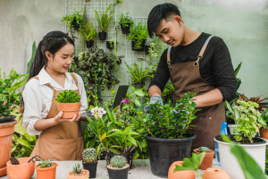 Rekomendasi Jenis Tanaman Hias Outdoor, Halaman Rumah Makin Asri!