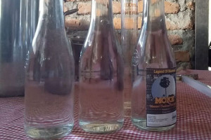 Asing, Penjelasan Mendalam tentang Minuman Moke