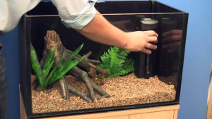 9 Inspirasi Desain Aquarium Minimalis dan Unik