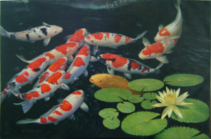 Mengenal 7 Jenis Ikan Koi Paling Cantik dan Unik