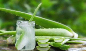 Multifungsi untuk Kecantikan, Ini Rekomendasi Aloe Vera Gel Terbaik
