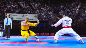 Tampak Serupa, Ternyata Ini Perbedaan Kung Fu dan Karate