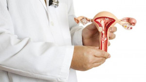 Ladies, Ketahui Siklus Haid dan Reproduksi Sehat