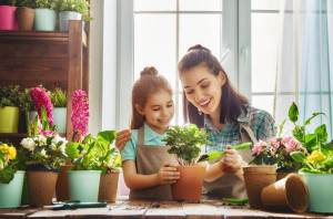 Pemula Wajib Tahu, Ini 7 Cara Berkebun di Rumah