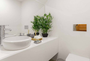 8 Pilihan Tanaman Hias untuk Percantik Kamar Mandi