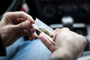 Ngeri! Ini Dampak Negatif Ganja