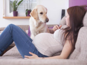 5 Hewan yang Sebaiknya Tidak Dipelihara Ibu Hamil