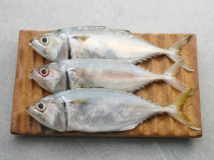 5 Manfaat Konsumsi Ikan Kembung bagi Ibu Menyusui dan Sang Anak