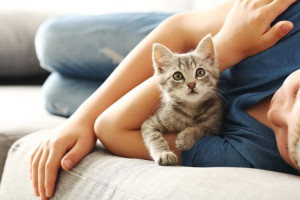 Ini Dia 5 Tanda Kucing Hormat dengan Anda!