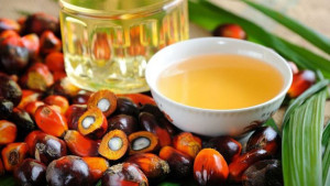Wajib Tahu! Ini Manfaat Omega-6 bagi Kesehatan