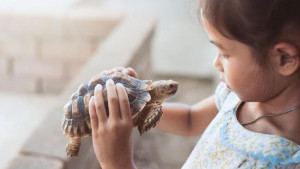 Tak Perlu Khawatir, Ini Manfaat Ajarkan Anak Merawat Binatang