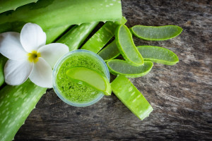 Bantu Kurangi Dark Circles, Ketahui Manfaat Aloe Vera