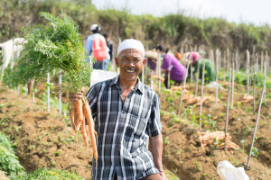 EdenFarm Pionir Rantai Pasok Pangan B2B dengan Food-Waste Mendekati Nol Persen