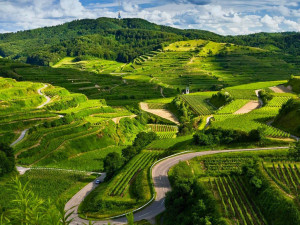 Rayakan Earth Month, Begini Cara Jadikan Bumi Lebih Baik