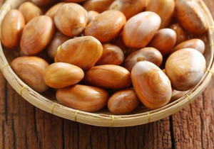 Jarang Diketahui, Ini 5 Manfaat Biji Nangka yang Baik Tuk Kesehatan