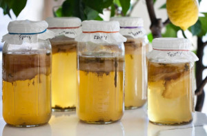 Tren di Kalangan Anak Muda, 5 Manfaat Teh Kombucha bagi Kesehatan