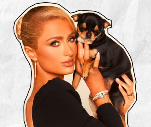 Demi Temukan Anjingnya yang Hilang, Paris Hilton Sewa Detektif sampai Bikin Sayembara
