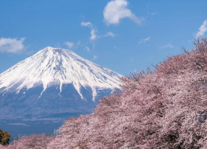 Kabar Baik, Jepang Bebaskan Visa untuk Turis Mulai Oktober 2022 Mendatang