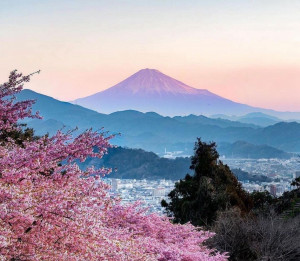 Dari Bali Hingga Tokyo, Waktunya Realisasikan Rencana Liburan dengan OTW