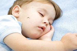 5 Rekomendasi Lotion Anti Nyamuk yang Aman untuk Anak