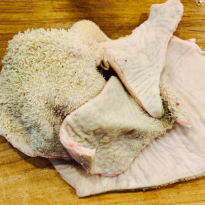 Mudah! 5 Cara Bersihkan Babat Sapi agar Empuk dan Tak Bau
