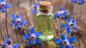 6 Manfaat Borage Seed Oil untuk Kecantikan dan Kesehatan